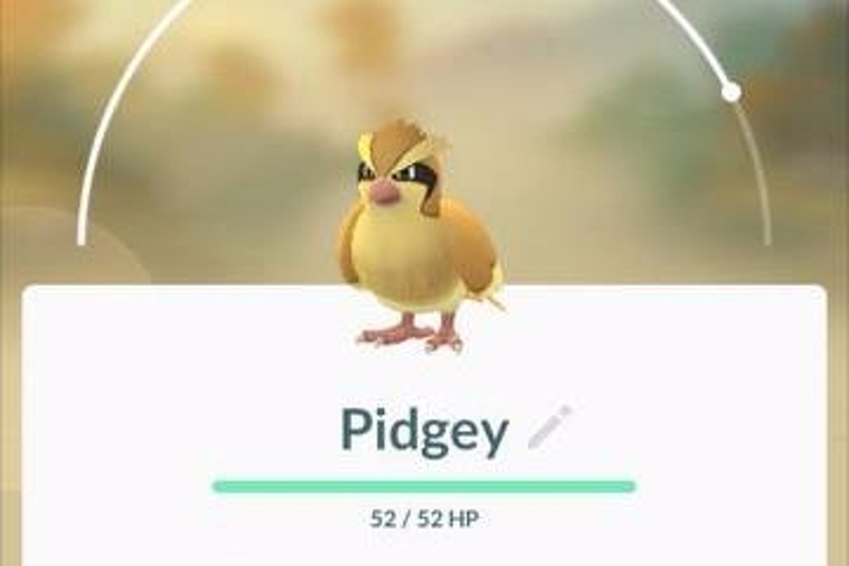 Espere ver menos Pidgeys, Rattatas y Zubats en Pokémon Go