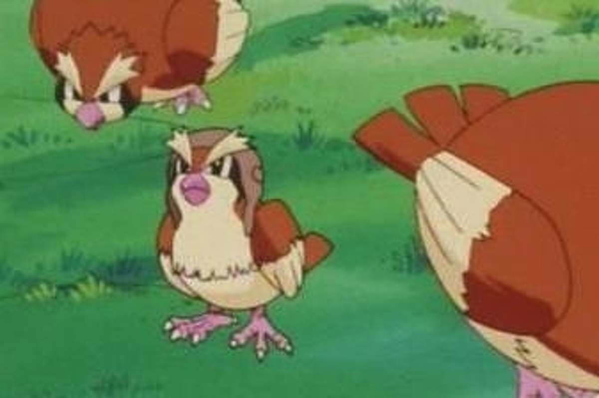 Tramposo Pokémon Go se quejó de que los Pidgeys los castigaron